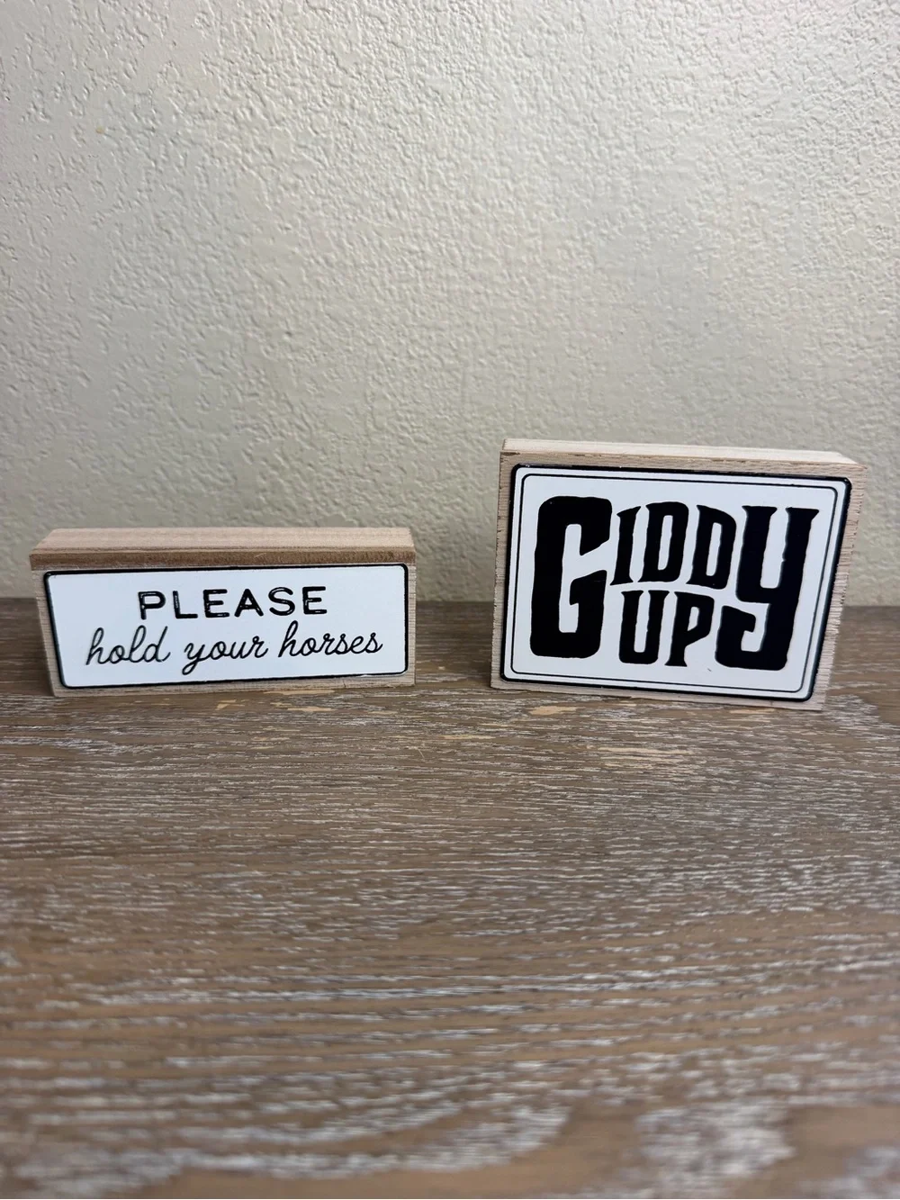 Target Cowboy/ Western Mini Signs set of 2 “Giddy Up” & “Hold Your Horses”